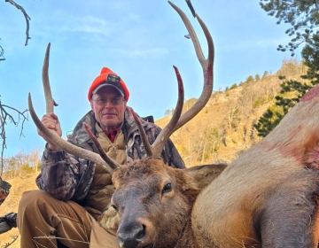 Sns Wyoming Wilderness Elk 2026 27